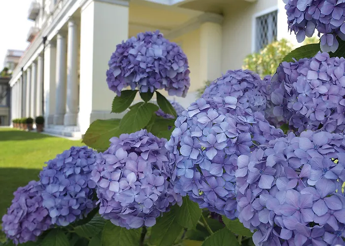 Grand Majestic Hotel